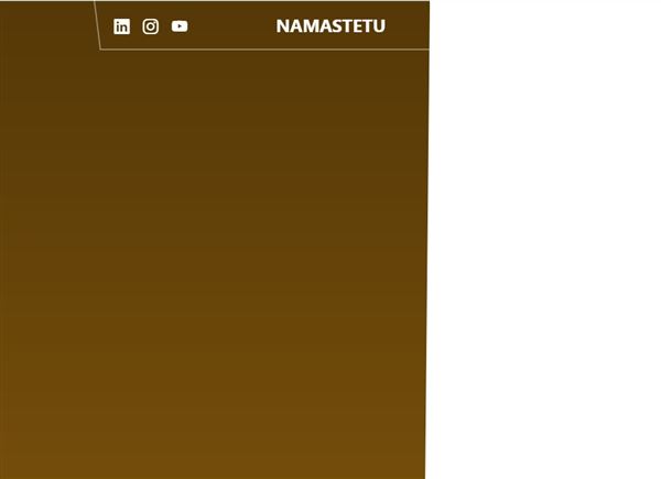 Namastetu Technologies - Digital Marketing Company Indore